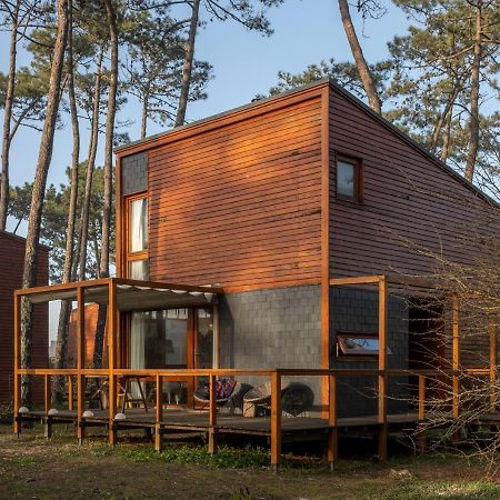 Bungalow B2 - Nature, Beach & River Ofir Extérieur photo