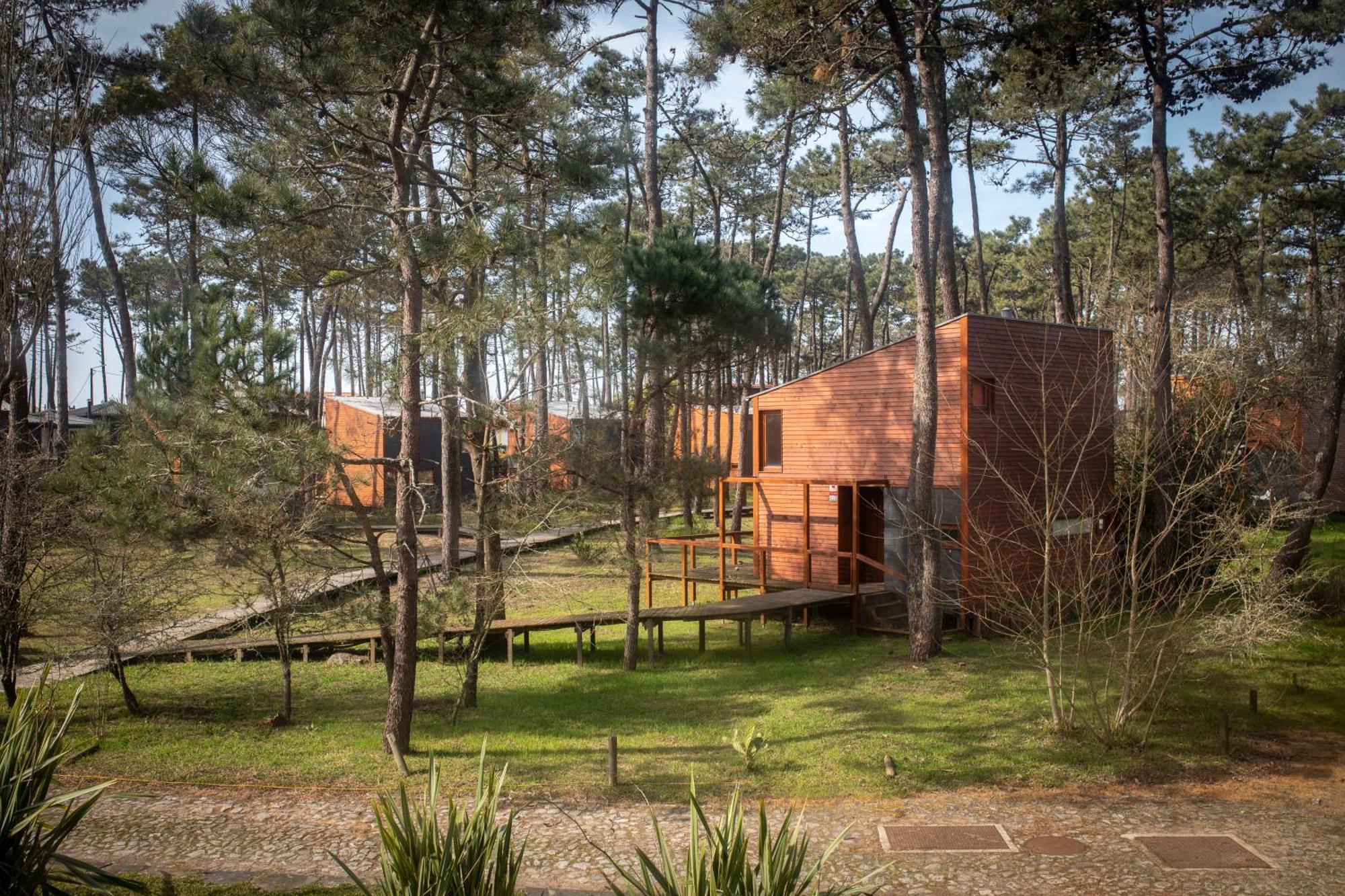 Bungalow B2 - Nature, Beach & River Ofir Extérieur photo