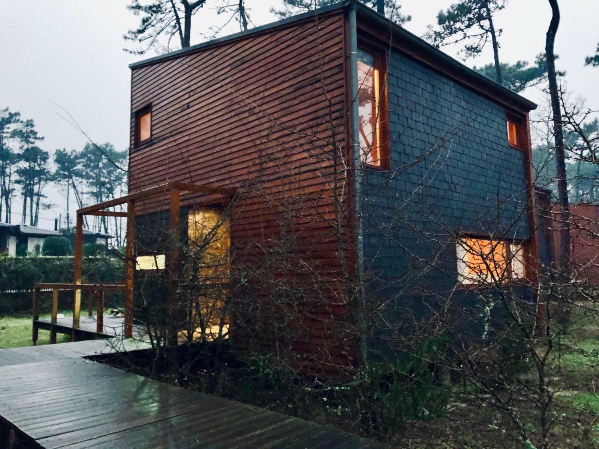 Bungalow B2 - Nature, Beach & River Ofir Extérieur photo